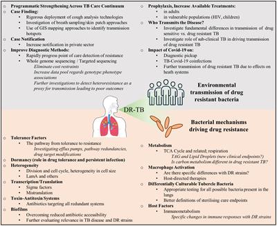 Drug resistant tuberculosis: Implications for transmission, diagnosis, and disease management